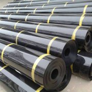 沼气池防渗土工膜 沼气池防渗土工膜